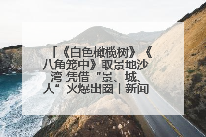 《白色橄榄树》《八角笼中》取景地沙湾 凭借“景、城、人”火爆出圈丨新闻发布最前线