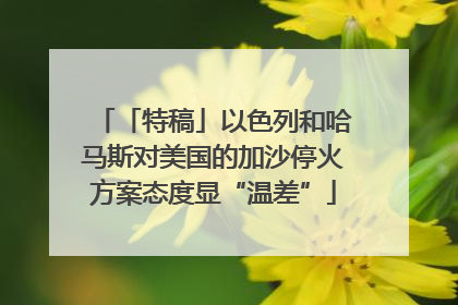 「特稿」以色列和哈马斯对美国的加沙停火方案态度显“温差”