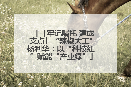 「牢记嘱托 建成支点」“辣椒大王”杨利华：以“科技红”赋能“产业绿”