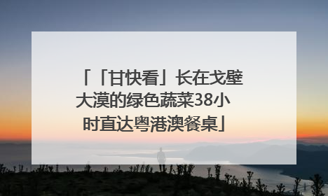 「甘快看」长在戈壁大漠的绿色蔬菜38小时直达粤港澳餐桌