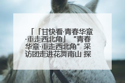 「甘快看·青春华章·重走西北角」“青春华章·重走西北角”采访团走进花舞南山 探寻天水乡村振兴之路