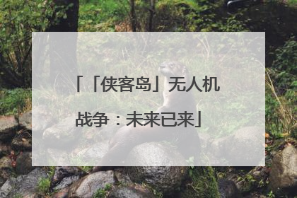 「侠客岛」无人机战争：未来已来