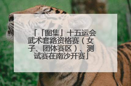「图集」十五运会武术套路资格赛（女子、团体赛区）、测试赛在南沙开赛