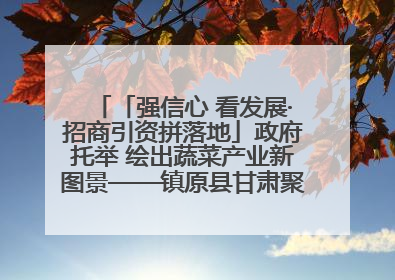 「强信心 看发展·招商引资拼落地」政府托举 绘出蔬菜产业新图景——镇原县甘肃聚广利现代设施蔬菜种植基地见闻