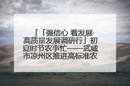 「强信心 看发展·高质量发展调研行」初夏时节农事忙——武威市凉州区推进高标准农田建设见闻