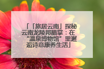 「旅居云南」探秘云南龙陵邦腊掌：在“温泉博物馆”里邂逅诗意康养生活