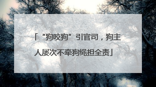 “狗咬狗”引官司，狗主人屡次不牵狗绳担全责
