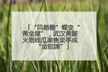 “简易棚”蝶变“黄金屋”，武汉黄陂火塔线瓜果售卖亭成“金招牌”