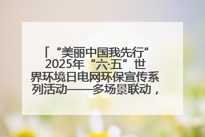 “美丽中国我先行” 2025年“六·五”世界环境日电网环保宣传系列活动——多场景联动，共筑生态发展新图景