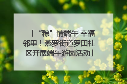 “粽”情端午 幸福邻里！燕罗街道罗田社区开展端午游园活动