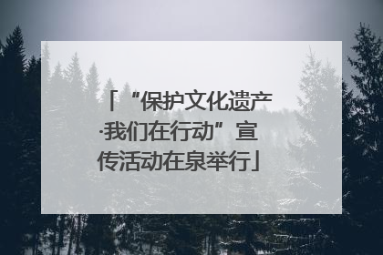 “保护文化遗产·我们在行动”宣传活动在泉举行