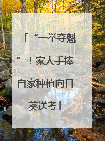 “一举夺魁”！家人手捧自家种植向日葵送考