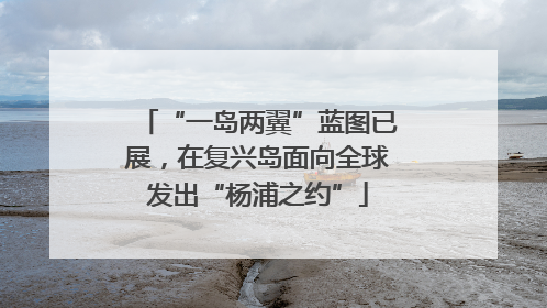 “一岛两翼”蓝图已展，在复兴岛面向全球发出“杨浦之约”