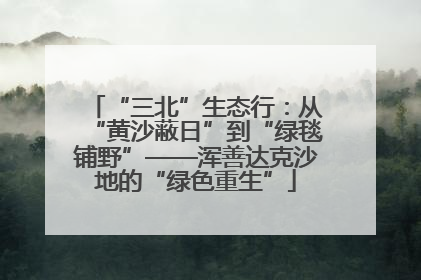 “三北”生态行：从“黄沙蔽日”到“绿毯铺野”——浑善达克沙地的“绿色重生”