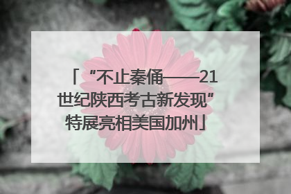 “不止秦俑——21世纪陕西考古新发现”特展亮相美国加州