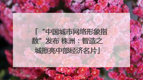 “中国城市网络形象指数”发布 株洲：智造之城擦亮中部经济名片