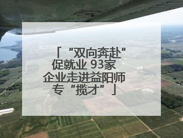 “双向奔赴”促就业 93家企业走进益阳师专“揽才”
