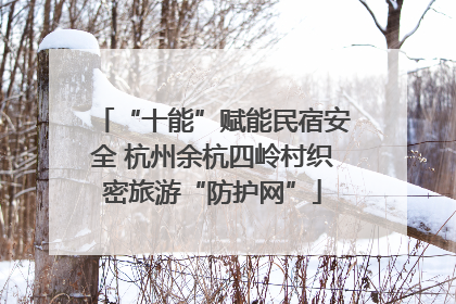“十能”赋能民宿安全 杭州余杭四岭村织密旅游“防护网”