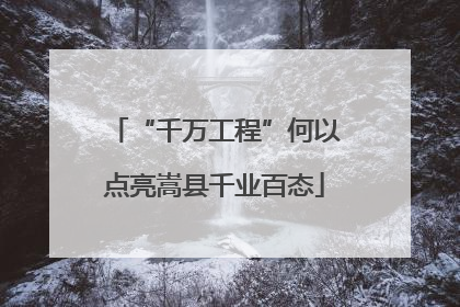 “千万工程”何以点亮嵩县千业百态