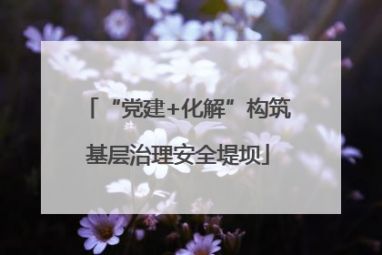 “党建+化解”构筑基层治理安全堤坝