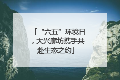 “六五”环境日，大兴廊坊携手共赴生态之约