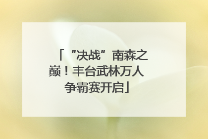 “决战”南森之巅！丰台武林万人争霸赛开启