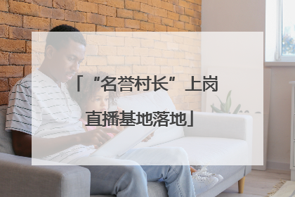 “名誉村长”上岗 直播基地落地