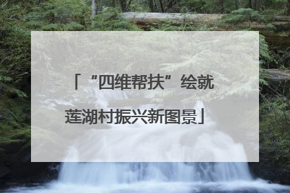 “四维帮扶”绘就莲湖村振兴新图景