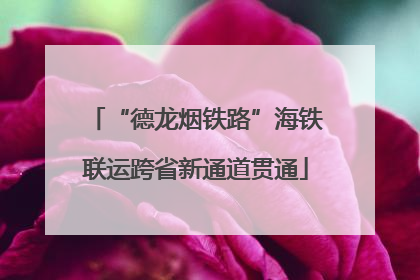 “德龙烟铁路”海铁联运跨省新通道贯通