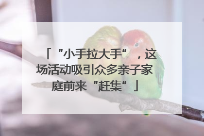 “小手拉大手”，这场活动吸引众多亲子家庭前来“赶集”