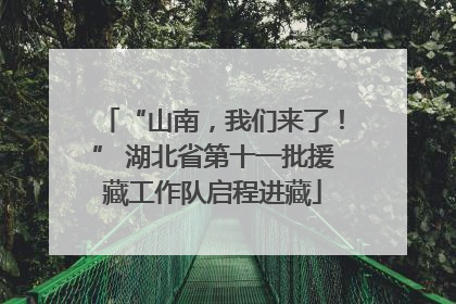 “山南，我们来了！” 湖北省第十一批援藏工作队启程进藏