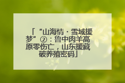 “山海情・雪域援梦”②：鲁中肉羊高原零伤亡，山东援藏破养殖密码