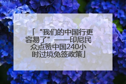 “我们的中国行更容易了”——印尼民众点赞中国240小时过境免签政策
