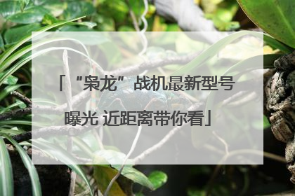 “枭龙”战机最新型号曝光 近距离带你看