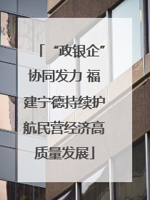 “政银企”协同发力 福建宁德持续护航民营经济高质量发展