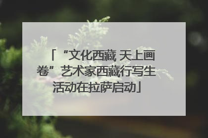 “文化西藏 天上画卷”艺术家西藏行写生活动在拉萨启动