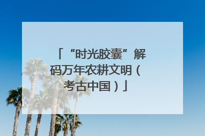 “时光胶囊”解码万年农耕文明（考古中国）