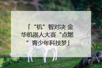 “机”智对决 金华机器人大赛“点燃”青少年科技梦