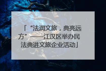 “法润文旅，典亮远方”——江汉区举办民法典进文旅企业活动