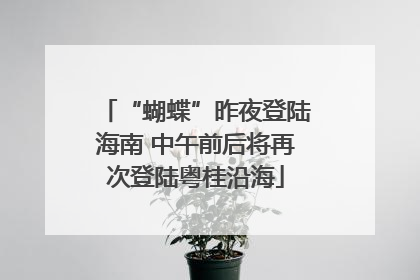 “蝴蝶”昨夜登陆海南 中午前后将再次登陆粤桂沿海