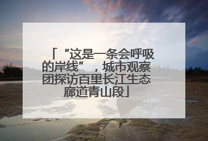 “这是一条会呼吸的岸线”，城市观察团探访百里长江生态廊道青山段