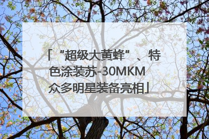 “超级大黄蜂”、特色涂装苏-30MKM 众多明星装备亮相