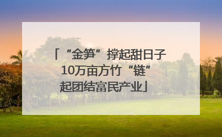 “金笋”撑起甜日子 10万亩方竹“链”起团结富民产业