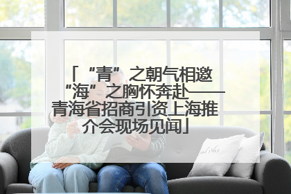 “青”之朝气相邀 “海”之胸怀奔赴——青海省招商引资上海推介会现场见闻