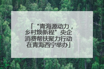 “青海源动力，乡村焕新程”央企消费帮扶聚力行动在青海西宁举办