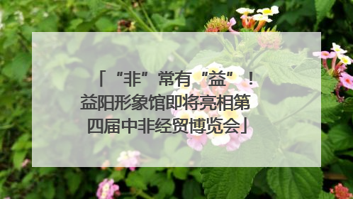 “非”常有“益”！益阳形象馆即将亮相第四届中非经贸博览会
