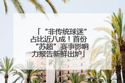 “非传统球迷”占比近八成！首份“苏超”赛事影响力报告新鲜出炉