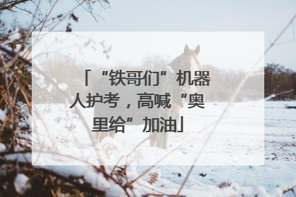 “铁哥们”机器人护考，高喊“奥里给”加油