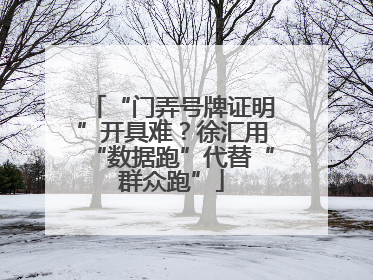 “门弄号牌证明”开具难？徐汇用“数据跑”代替“群众跑”