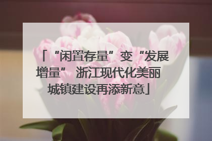 “闲置存量”变“发展增量” 浙江现代化美丽城镇建设再添新意